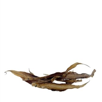 Petsnack tongfilet