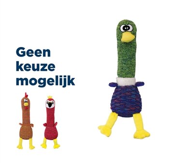 Kong shakers cuckoos assorti