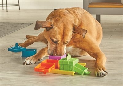 Brightkins surprise party treat puzzle
