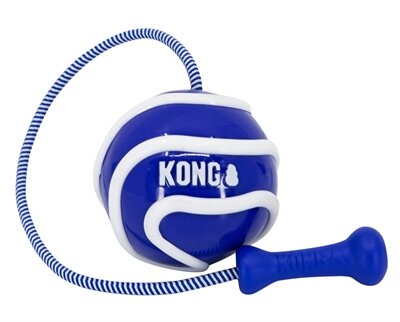 Kong wavz bunjiball assorti