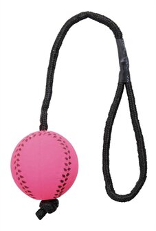 Trixie sportbal aan touw schuimrubber drijvend assorti