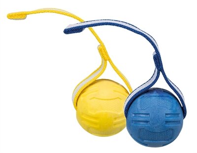Trixie sportbal aan lint tpr drijvend assorti