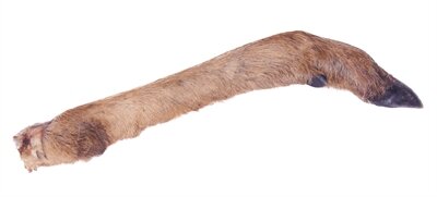 Petsnack reeenpoot met haar
