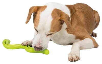 Trixie tpr snackslang groen