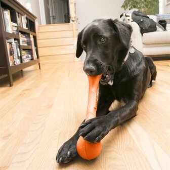 Kong squeakstix