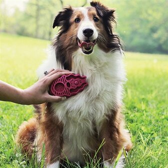 Kong zoomgroom rubber borstel roze