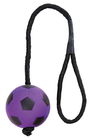 Trixie sportbal aan touw schuimrubber drijvend assorti