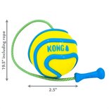 Kong wavz bunjiball assorti