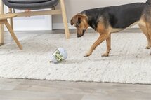 Trixie roly poly snack tuimel ei grijs / lime groen