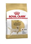 Royal canin labrador retriever adult