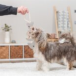 Trixie visgraat leer met touw