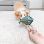 Trixie vis leer met touw
