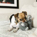 Kong comfort kiddos olifant grijs